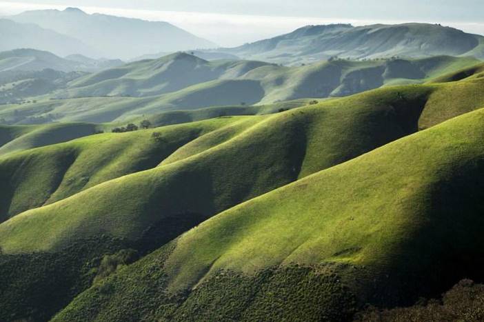 california vineyards