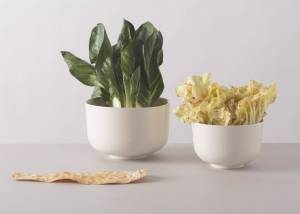 Fabrica Tableware