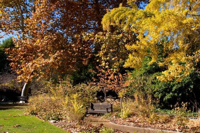 Descanso Gardens
