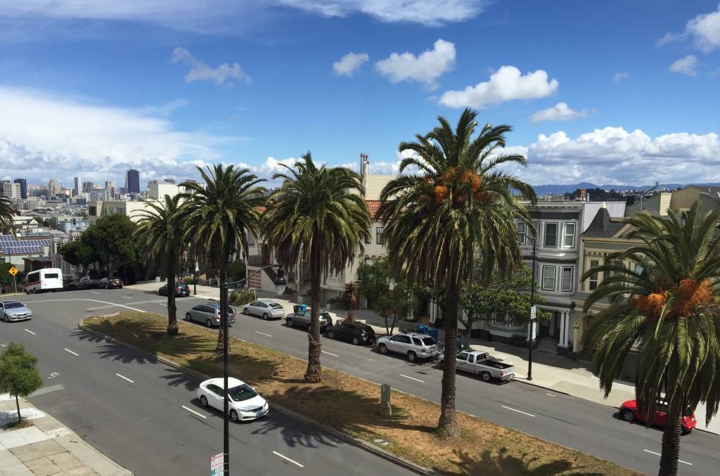 Dolores St
